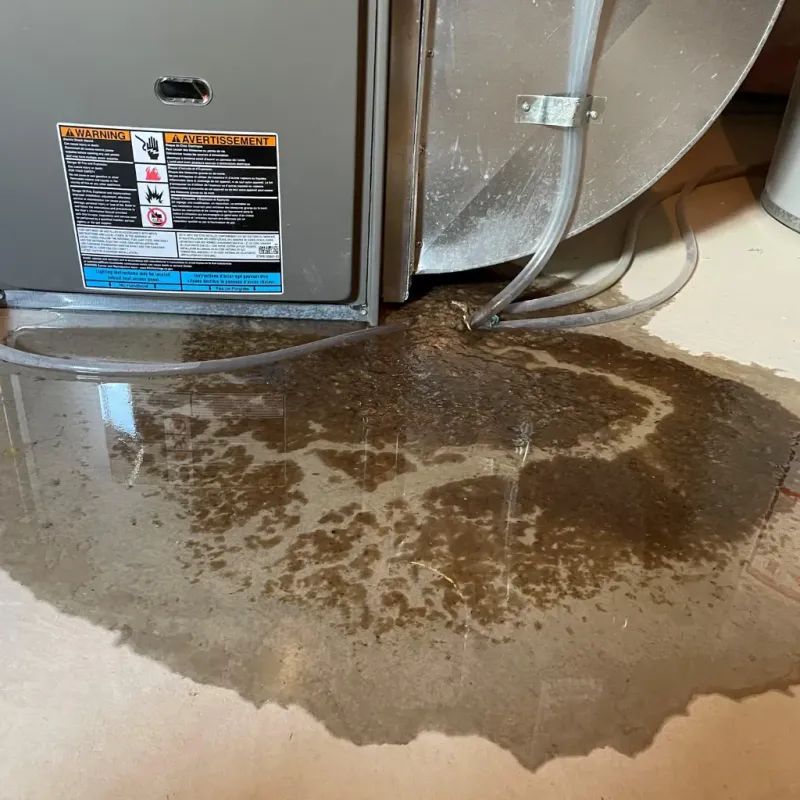 Appliance Leak Cleanup in Gardnerville Ranchos, NV